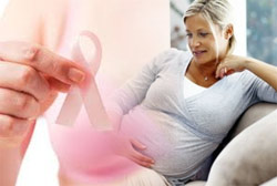 рак молочной железы, избыток эстрогенов при беременности