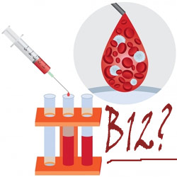 уровень витамина B12 в плазме крови