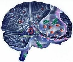 болезнь Альцгеймера, исследование, токсические продукты в мозге