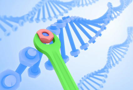 Будущее генной терапии - в восстановлении поврежденной ДНК