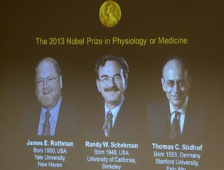 Нобелевские лауреаты 2013 года в медицине 