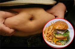 Пищевой жир играет ключевую роль в появлении «животика»