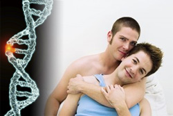 Определяют ли гены гомосексуальность мужчин?