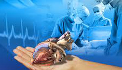 донорство органов и трансплантация