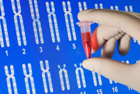 Российские ученые создали искусственную хромосому, способную бороться с гемофилией