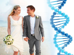 Ученые: в брак вступают люди со схожей ДНК