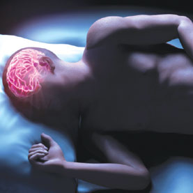 Неврологи узнали, как во сне усваивается информация