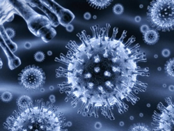 штамм вируса H1N1