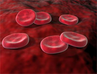 кровяные тельца, эритроциты
