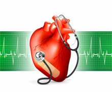 сердце, отношение к жизни, изучение здоровья людей