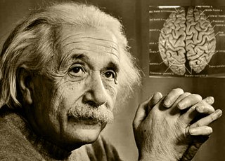 Секреты мозга Эйнштейна