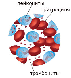 анализ крови, лейкоциты, тромбоциты, белая кровь