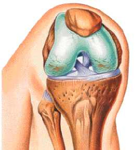 нарушение строения хряща