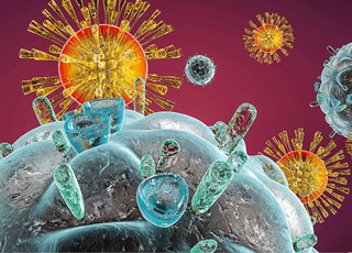 Защитный механизм: Экспресс-тесты на гепатит С и ВИЧ
