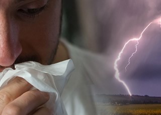 Внимание аллергия! Что нужно знать о грозовой астме